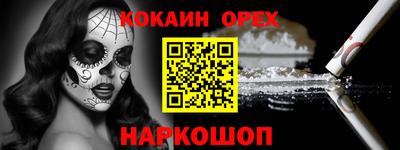 шишки Гай