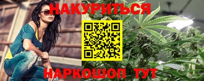 шишки Гай