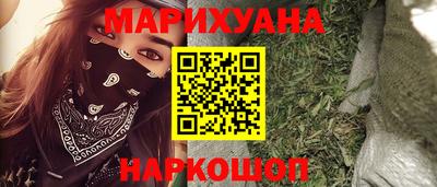 шишки Гай