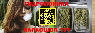 винт Гатчина