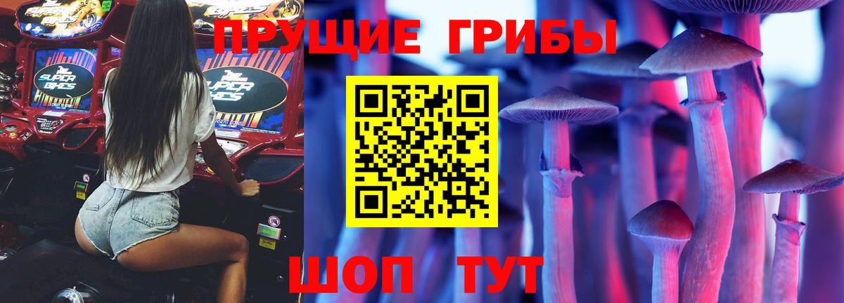 Вятские Поляны  Псилоцибиновые грибы GOLDEN TEACHER  Вход с VPN 
